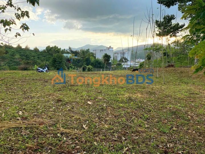 Đất nền Đà Lạt hẻm QL20 1024m² 750 triệu - Đường to ô tô