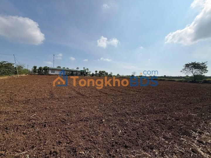 Đất nền Tân Châu Di Linh 2.088m² 2.5 tỷ - Sổ đỏ chính chủ