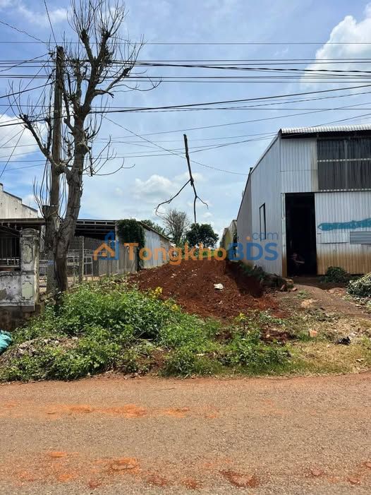 Đất nền Tân Hội Lâm Đồng 450m² giá 1.22 tỷ - Sổ đỏ chính chủ