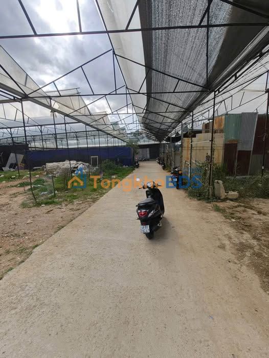 Đất nền Tôn Thất Tùng Đà Lạt 105m² 1.5 tỷ - Sổ đỏ chính chủ