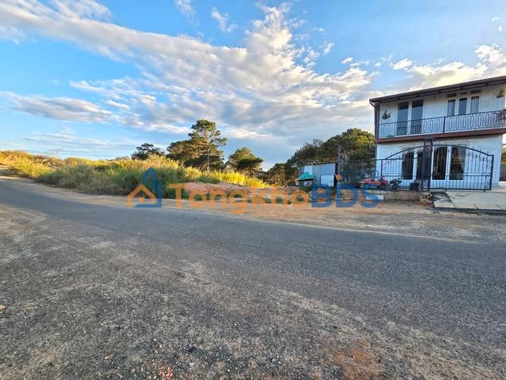 Đất Nền Đà Lạt 345m² View Đồi Thông - Sổ Hồng Riêng, Giá Tốt