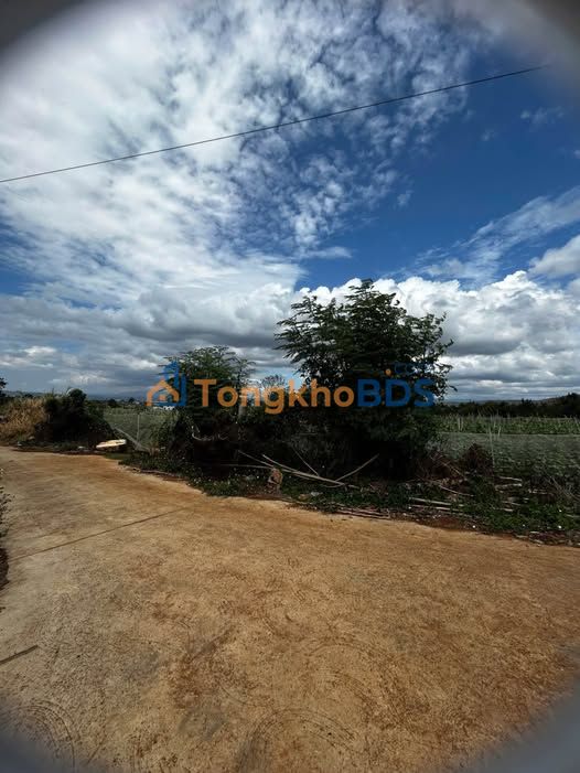 Bán Đất Sào Liên Hiệp Đức Trọng 2863m² - Sổ Hồng Riêng, Giá 9.6 Tỷ