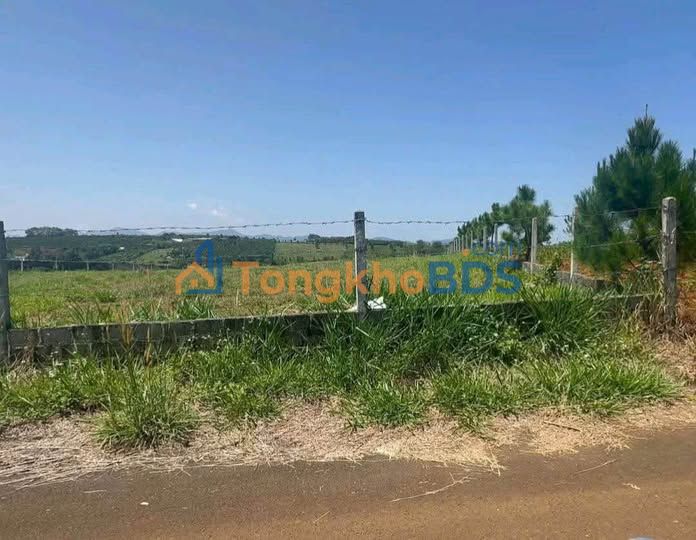 Đất Vàng Bảo Lộc 1050m² Mặt Tiền 17.5m - Sổ Đỏ Riêng