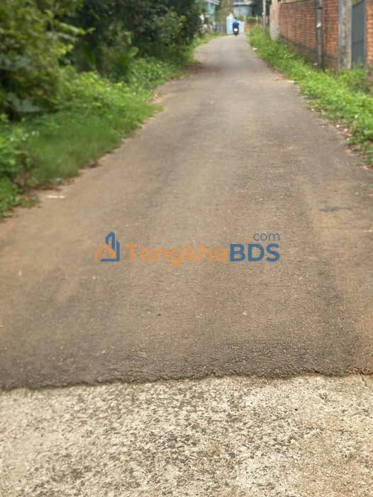 Đất Vườn Bảo Lộc 800m² - Hạ Giá 3.6 Tỷ - Sẵn Sàng Xây Biệt Thự/Homestay