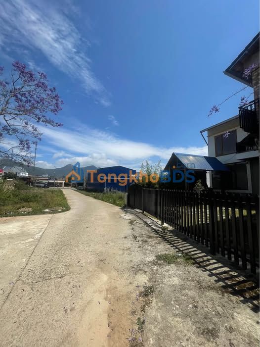 Đất Nền Tố Hữu Đà Lạt 99m² Sổ Hồng Riêng - Sẵn Sàng Xây Dựng