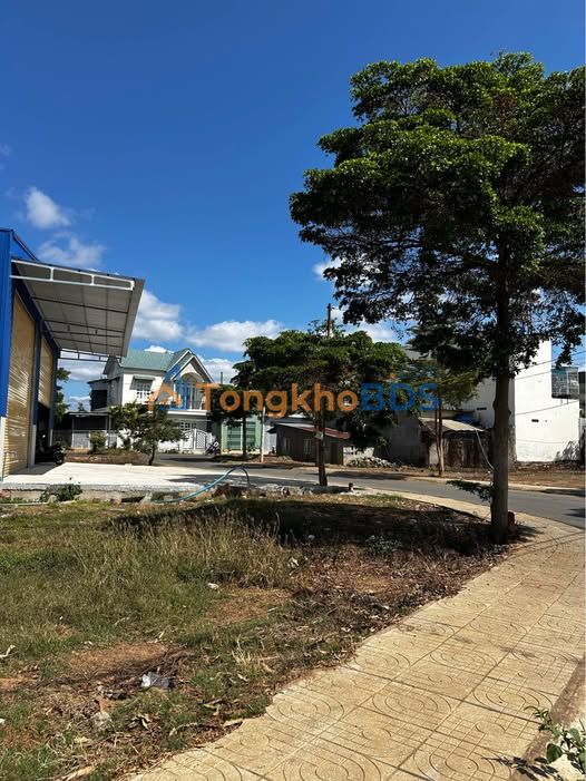 Đất Lô Góc Nguyễn Văn Cừ, Đức Trọng - 123m² - Sổ Riêng