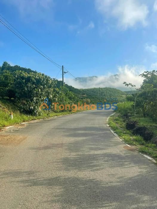 Đất Nền Lộc Thành, Bảo Lâm - 400m² Mặt Tiền Nhựa 2 Làn Xe, Giá 1.7 Tỷ