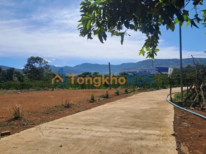 Đất Trung Tâm Nam Ban (Ven Đà Lạt) 206m² Sổ Hồng Riêng - Giá 610 Triệu