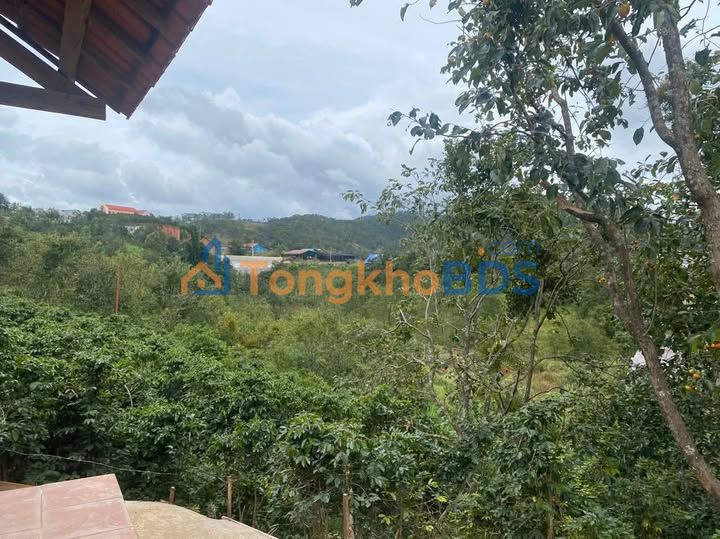 Bán gấp nhà vườn 400m² Xã Đạ Nhim - Giá 850 triệu