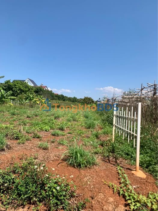 Đất Nền Nam Ban 313m² Sổ Hồng Riêng - Giá 880 Triệu