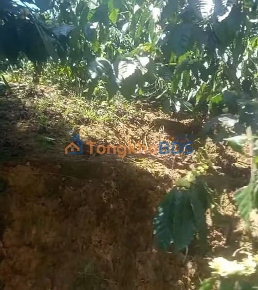 Đất Nền Tà Năng Đức Trọng 27.000m² - Sẵn Sàng Đầu Tư Sinh Lời