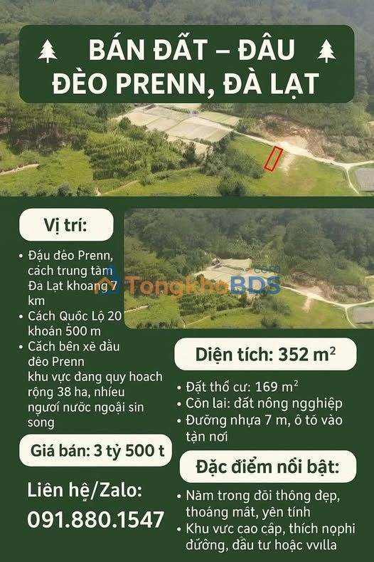 Bán Đất Đà Lạt 352m² Đầu Đèo Prenn - View Đồi Thông Tuyệt Đẹp