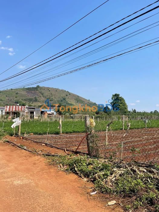 Đất Nền Đức Trọng 1440m² (150m² Thổ Cư) - Giá 1.4 Tỷ Chính Chủ