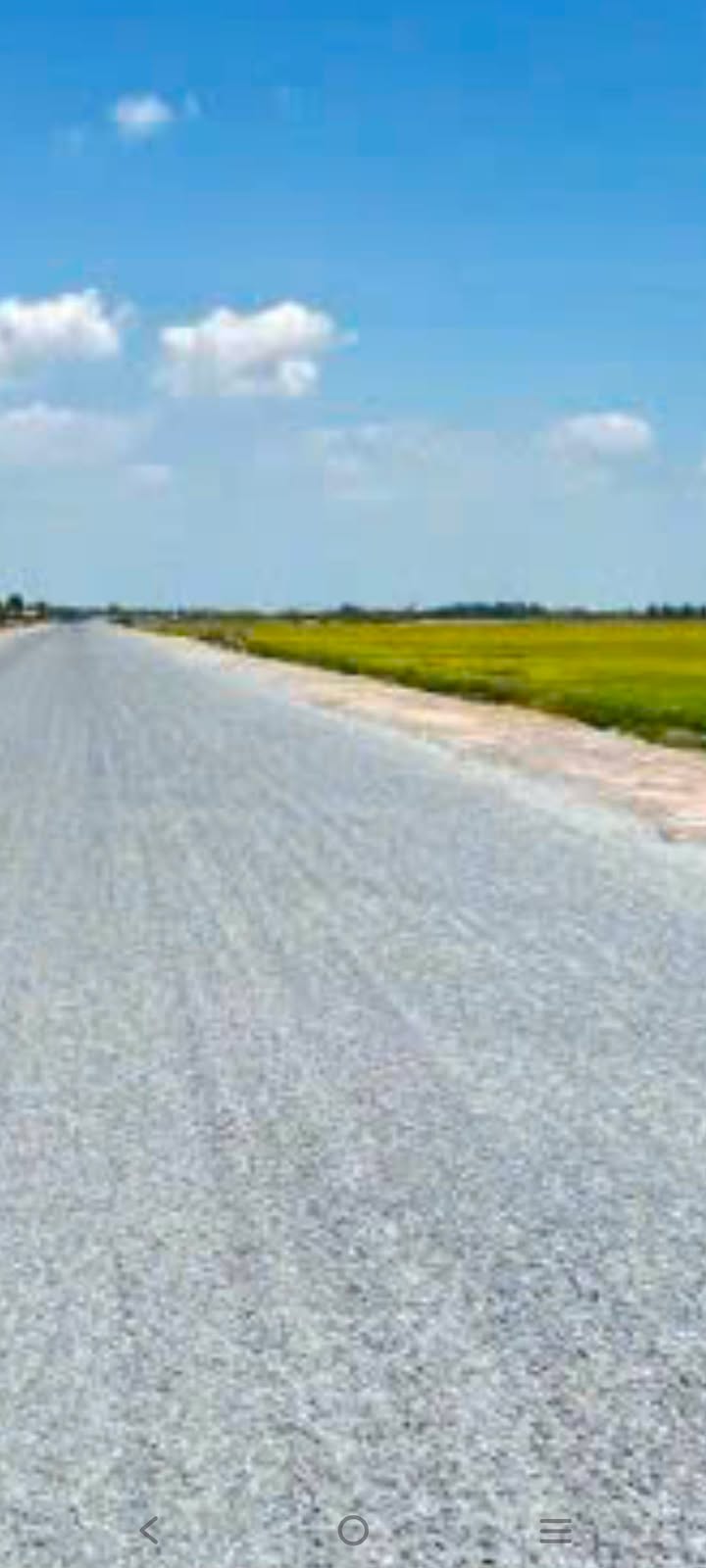 Đất Vườn Đồng Tháp 35.000m² Mặt Tiền TL845 - Sẵn Sàng Đầu Tư Sinh Lời!