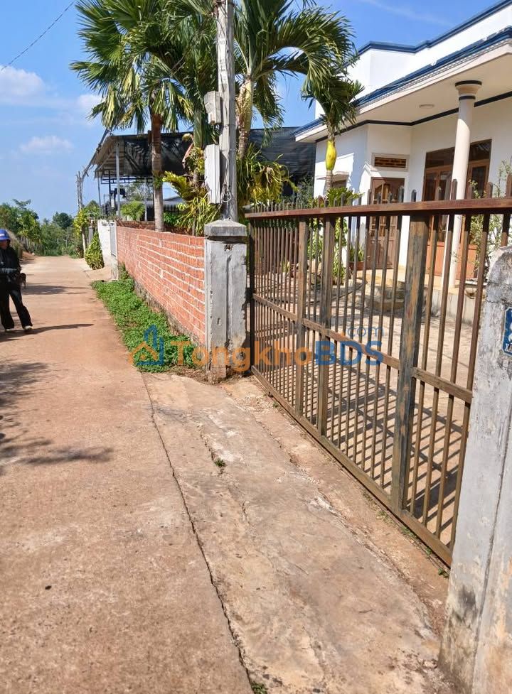 Đất Vịnh Hương, Đắk Mil: 192m² Sổ Đỏ, Giá 850 Triệu - Cơ Hội Đầu Tư Vàng