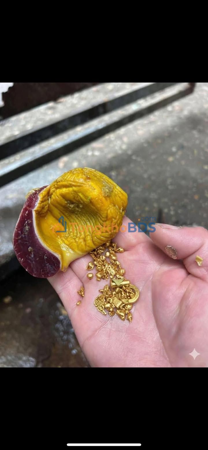 Đất Thổ Cư 289m² Nga An, Nga Sơn - Sổ Đỏ Sẵn Sàng, Giá Chỉ 7xx Triệu