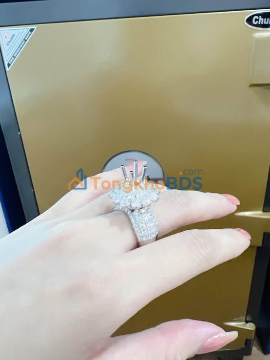 Đất Nguyễn Văn Thiệt Vĩnh Long 1.100m² 3 tỷ - Xây dựng tự do