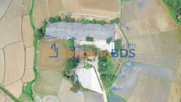 Farm Phú Đô Thái Nguyên 4.232m² - Đầu tư dài hạn