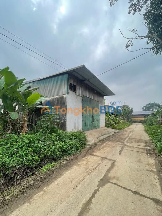 Đất Tái Định Cư Phú Lương 136m² Mặt Tiền 8.5m Có Xưởng - Giá 7-8 Tỷ