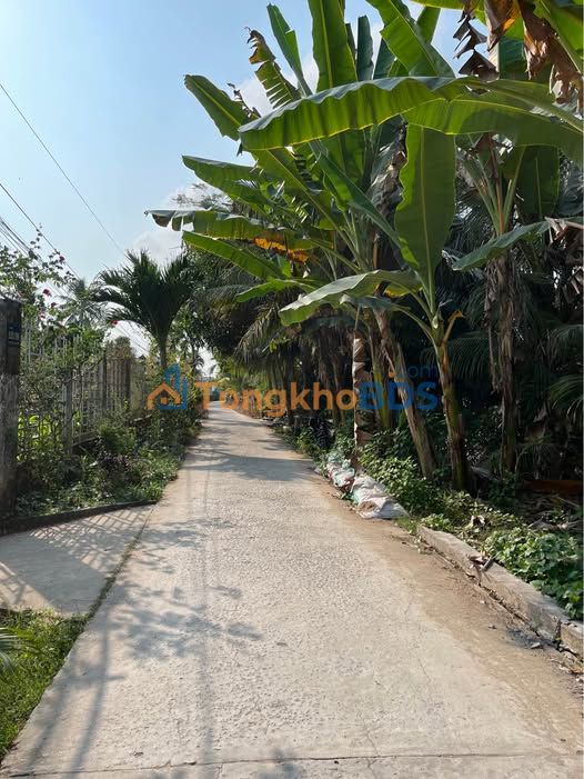 Đất nền Long Phước, Vĩnh Long - 78m² nở hậu, view sông mát mẻ, giá chỉ 599 triệu