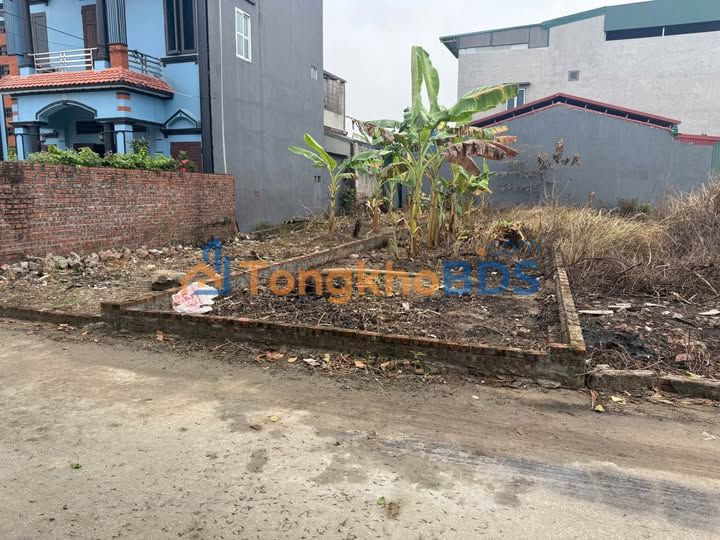 Đất nền Mỹ Hào 93m² - Sổ đỏ sẵn sàng, tiềm năng sinh lời cao