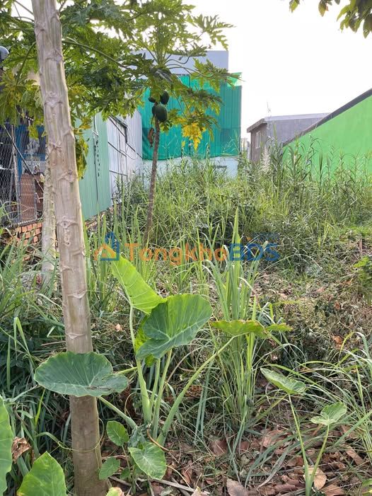 Đất nền Tịnh Biên 120m² giá 2 tỷ - Sổ đỏ chính chủ