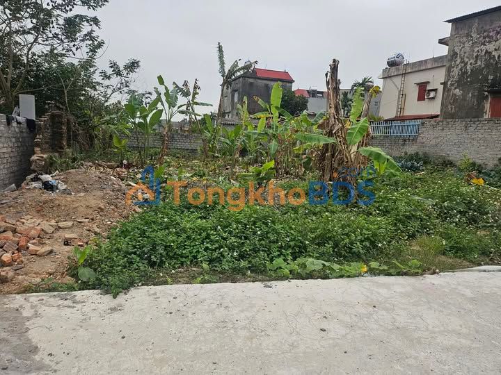 Đất nền Yên Dũng 400m² gần KCN - Sổ đỏ sẵn sàng giao dịch