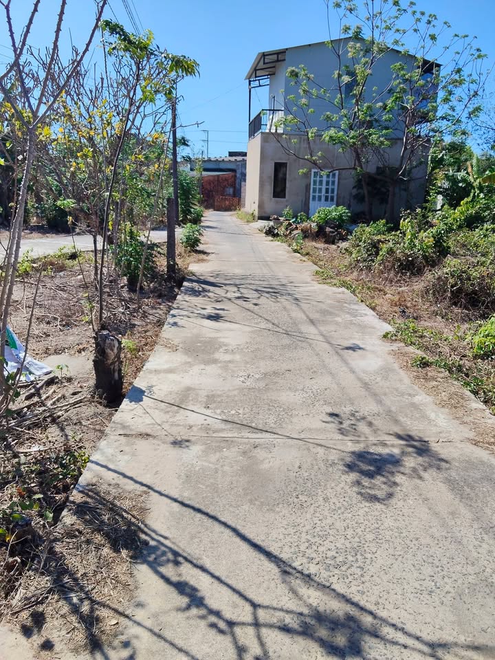 Đất Nền Hẻm Lý Thái Tổ - 105m² Thổ Cư, Sổ Hồng Sẵn Sàng - Gần Biển Lagi