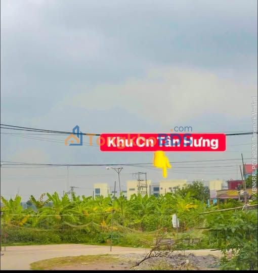 Đất Nền Xương Lâm Lạng Giang 100m² - Sổ Đỏ Sẵn Sàng, Giá Đầu Tư 2 Tỷ