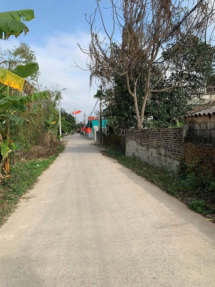 Đất nền Quảng Phú, Thanh Hóa 103m² - Sổ đỏ sẵn, ô tô vào tận nơi