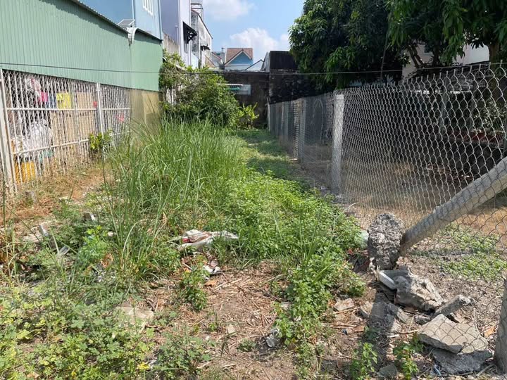 Bán Nền Đường Lê Hòan, Long Xuyên 78.5m² - Hướng Tây, Giá 1.55 Tỷ