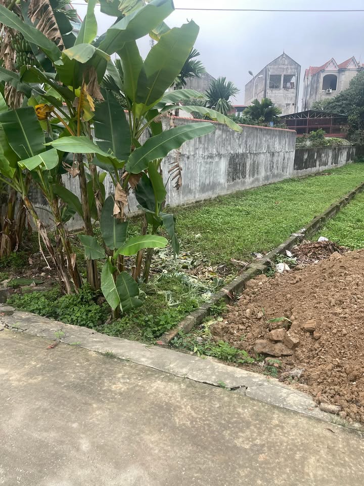 Đất nền Sông Công 220m² - Ngay Chợ Thanh Xuyên, Đầu tư sinh lời