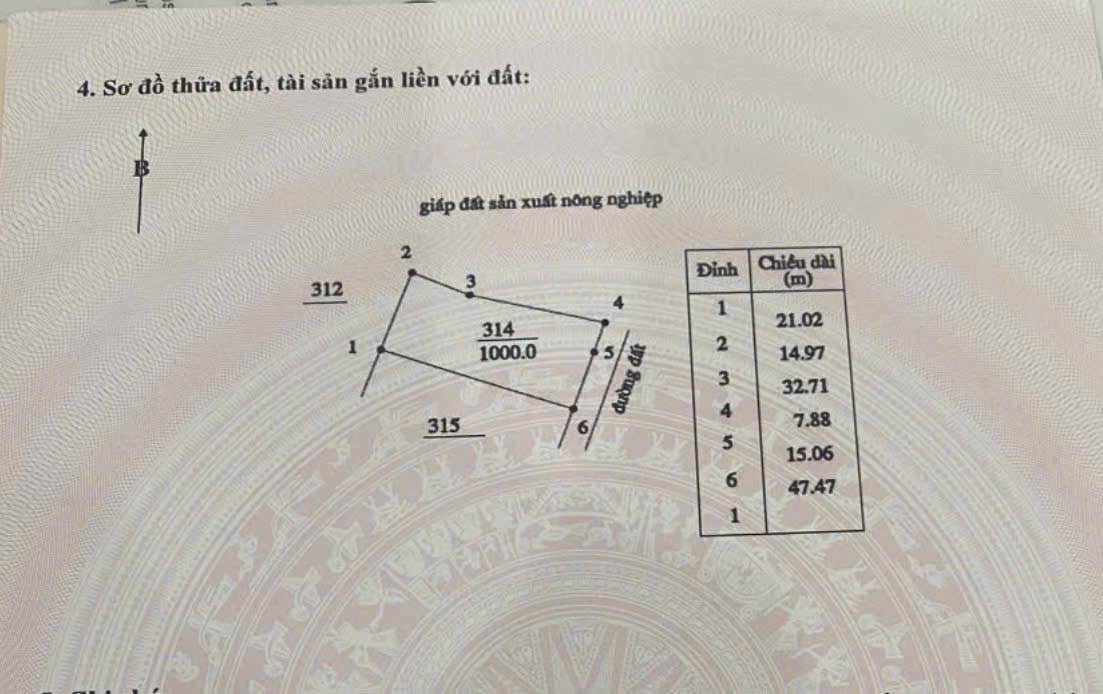 Bán Đất 1000m² Mặt Tiền 23m - Sổ Riêng Tại Mũi Né, Phan Thiết