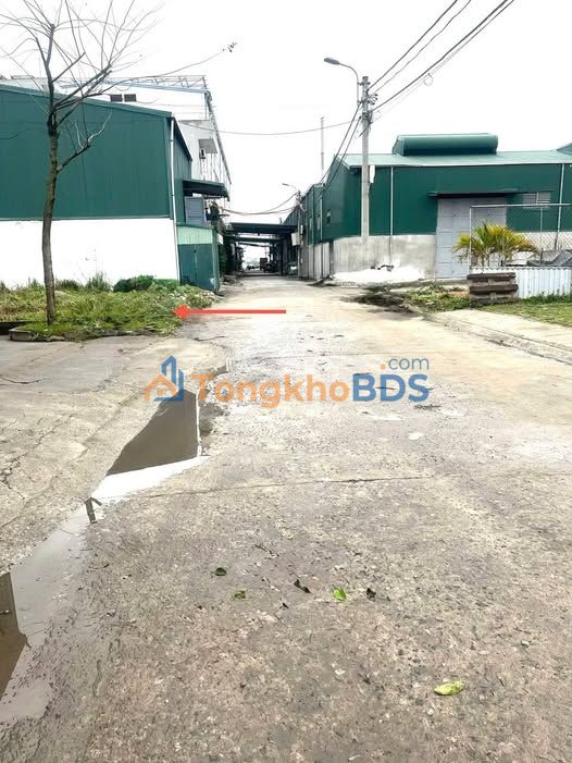 Đất Đấu Giá Nguyễn Trãi Thường Tín 84m² - Dòng Tiền Ổn Định