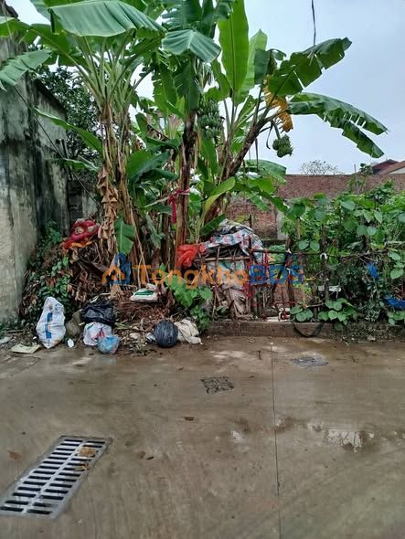 Đất nền Thường Tín 54.3m² - Sổ đỏ vuông vắn, gần Vin Olympics