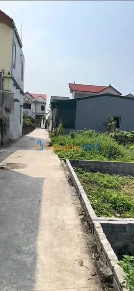 Đất Nền Phượng Dực 80m² - Mặt Tiền 6m, Giá Tốt Đầu Tư