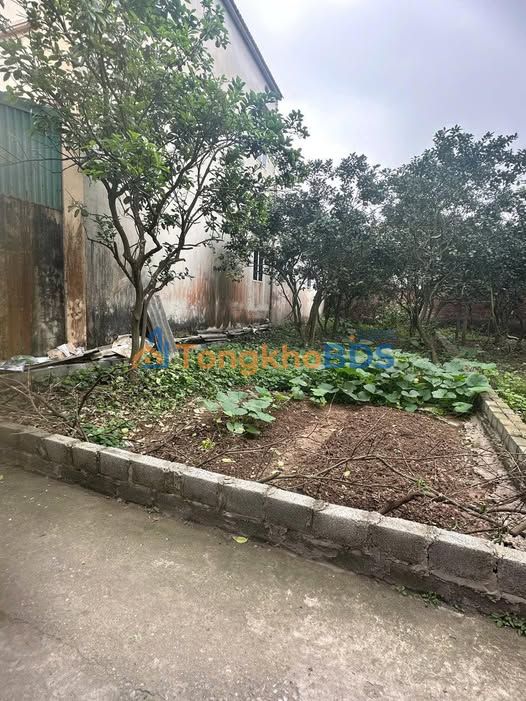 Đất nền Thường Tín 134m² - Gần Sân Vận Động, Sổ đỏ sẵn sàng