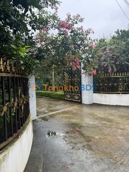 Bán Đất Vàng 80m² Thường Tín - Đường Thông Ô Tô, Kinh Doanh Đa Ngành