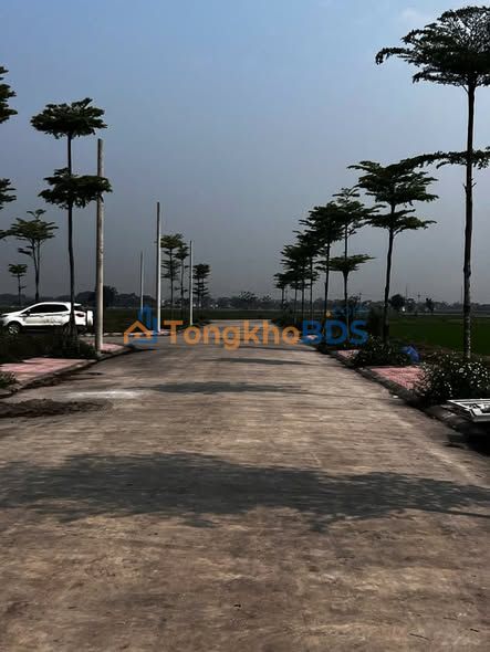 Đất đấu giá 81.2m² Nam Triều, Nam Định - Vị trí đắc địa, tiềm năng sinh lời cao