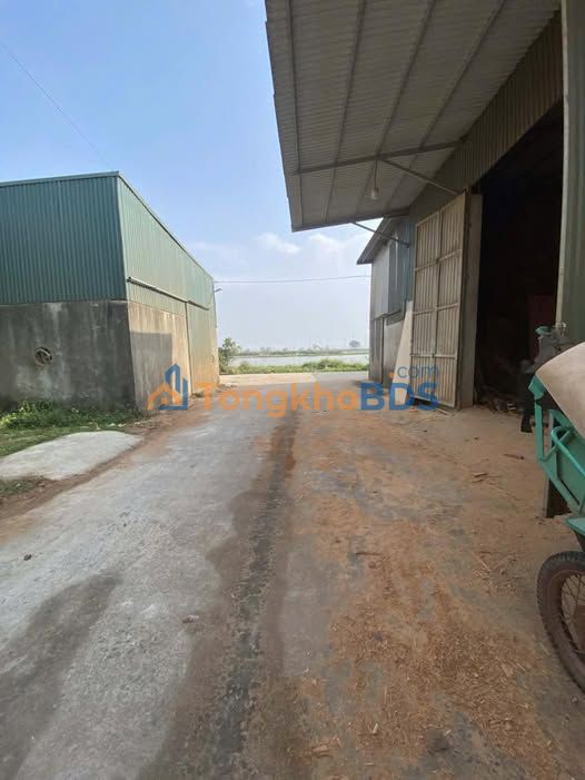 Đất Đấu Giá Đồng Phố Sóc Sơn 92.5m² - Sẵn Sổ Đỏ, Giá Tốt