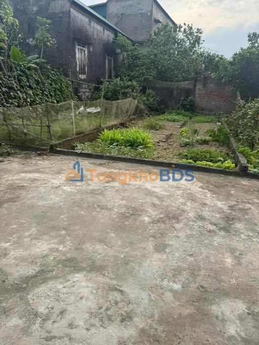 Đất Tri Thủy Phú Xuyên 48.5m² - Ô tô đỗ cửa, Sổ đỏ chính chủ