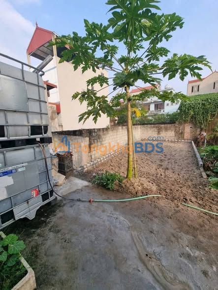 Đất Nền Sổ Đỏ 45m² - Mặt Tiền 5m, Oto Vào Tận Đất - An Lãng, Thường Tín