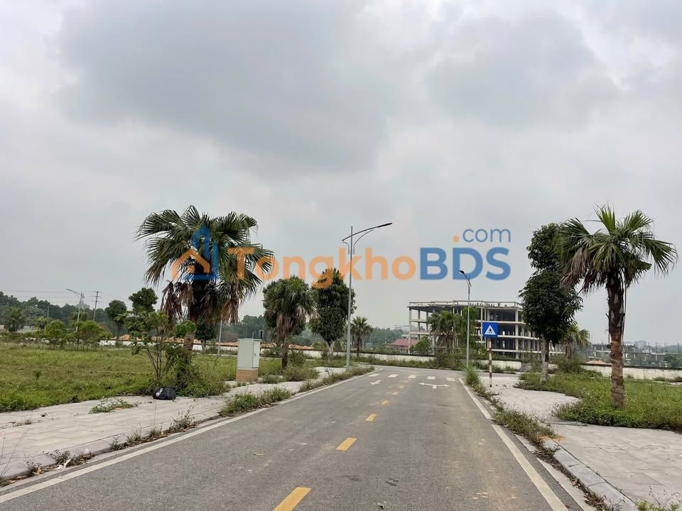 Đất nền Việt Trì Spring 90m² - Kinh doanh đắc địa, tiềm năng tăng giá