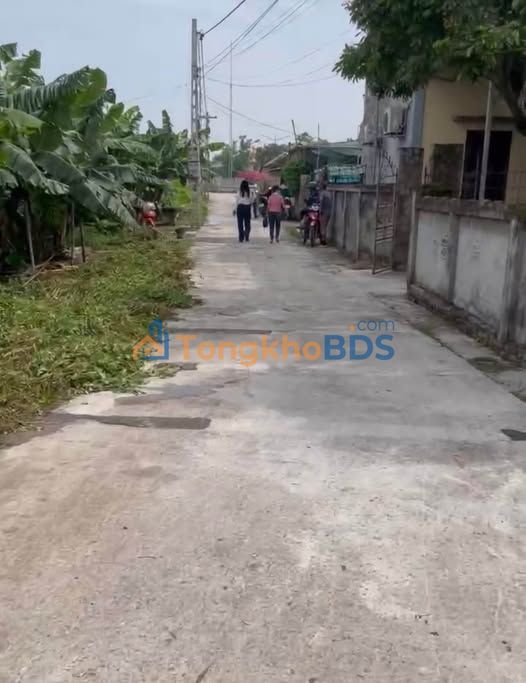 Đất nền Quỳnh Phụ, Thái Bình 106m² - Sổ đỏ chính chủ, ô tô vào nhà