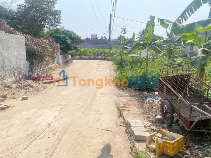 Đất Lô Góc Thôn Phụng Công, Quỳnh Phụ, Thái Bình - 100m² Giá 8xx Triệu