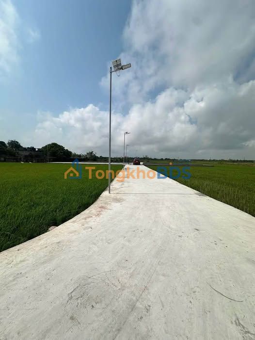 Đất Nền Tiền Hải, Thái Bình - 120m² Sổ Hồng Sẵn Sàng, Giá 5xx Triệu/Lô