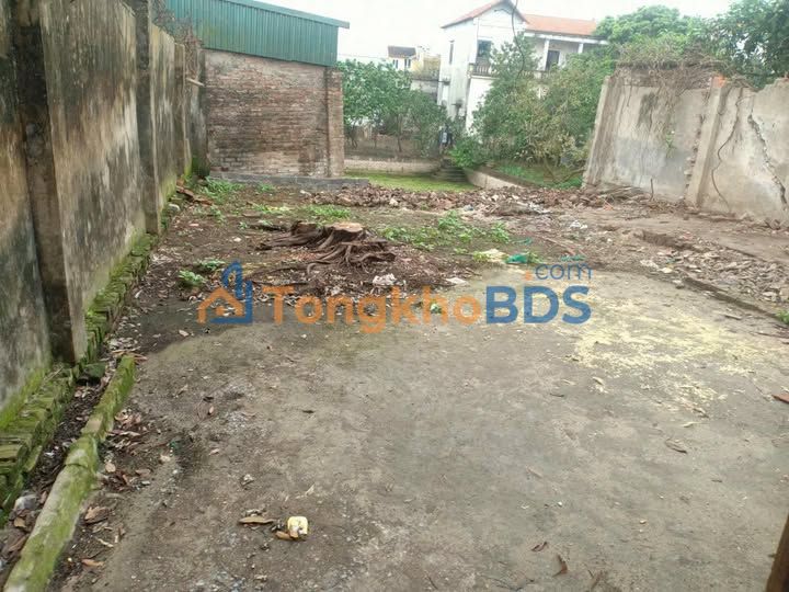 Bán đất Thôn Cựu, Phú Xuyên 99m² - Sổ đỏ sẵn sàng, đầu tư sinh lời