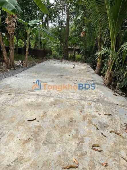 Bán đất Bình Nhâm 16, Thuận An - 246m² TC 60m², giá chỉ 2.79 tỷ