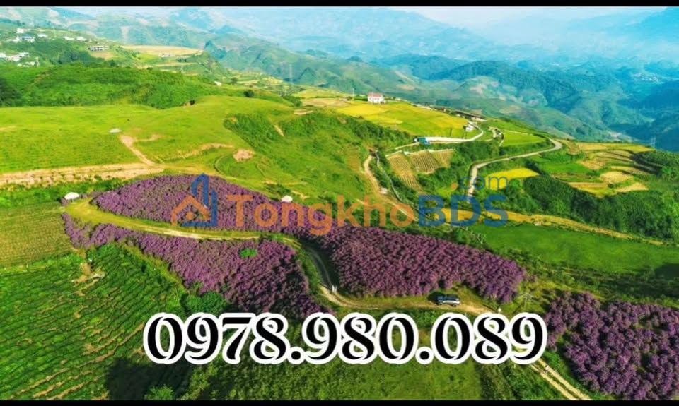 Đất Suối Bon Vân Hồ 4.527m² 2 tỷ - Tiềm năng tăng giá