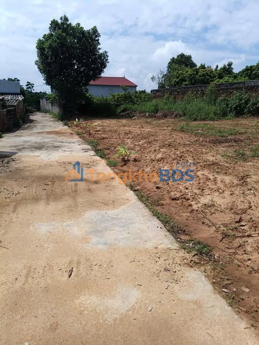 Đất Thổ Cư 90m² Việt Yên, Bắc Giang - Sổ Đỏ Sẵn Sàng